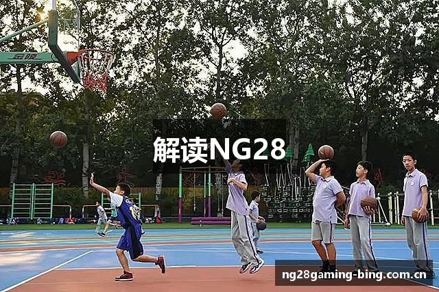 解读NG28